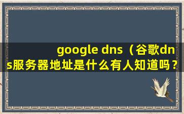 google dns（谷歌dns服务器地址是什么有人知道吗？）